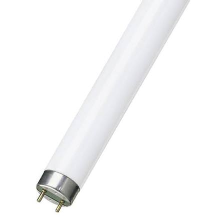 FTL 40W (Super Saver)